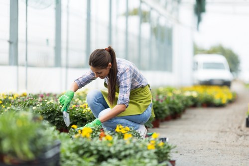 Mobile device showing high-contrast gardening service schedule for Feltham